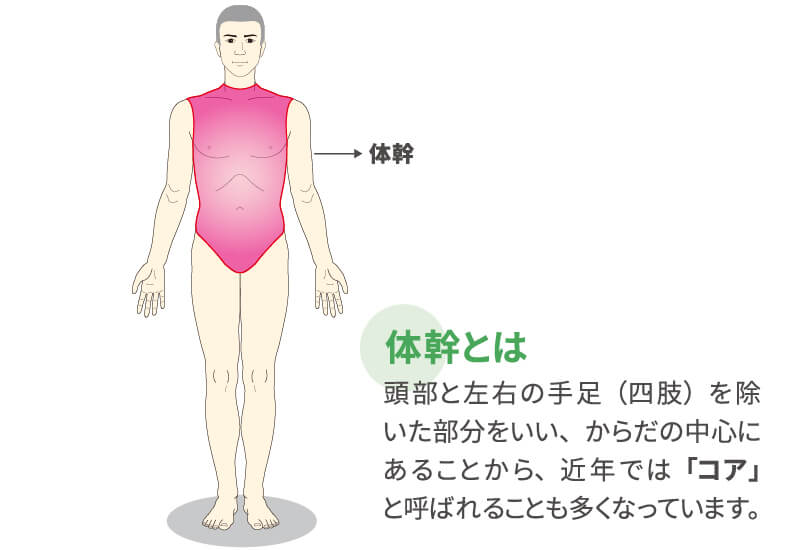 柔軟性コラム 背中が曲がるのを予防するには ケンジュ 健康寿命を延ばすための健康情報サイト