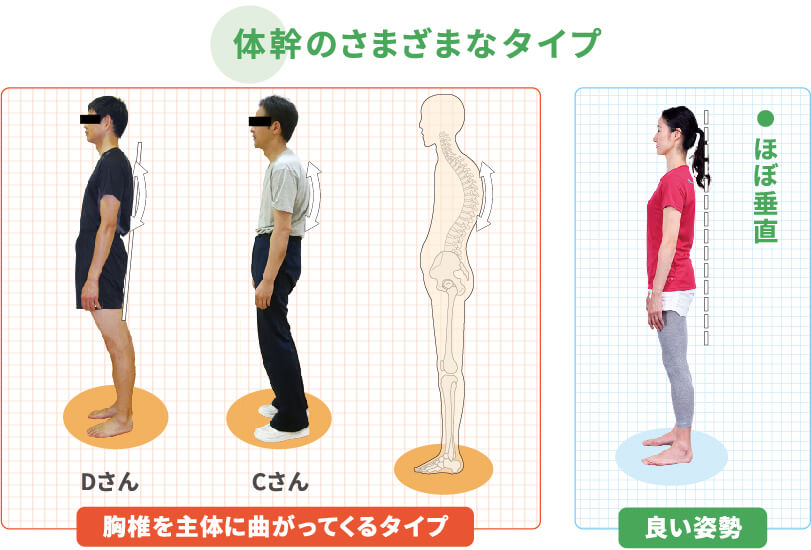 柔軟性コラム 背中が曲がるのを予防するには ケンジュ 健康寿命を延ばすための健康情報サイト